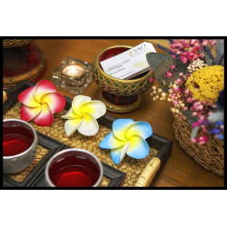 Masaje en Pareja 90 min | Valladolid y Segovia | SAO Masajes